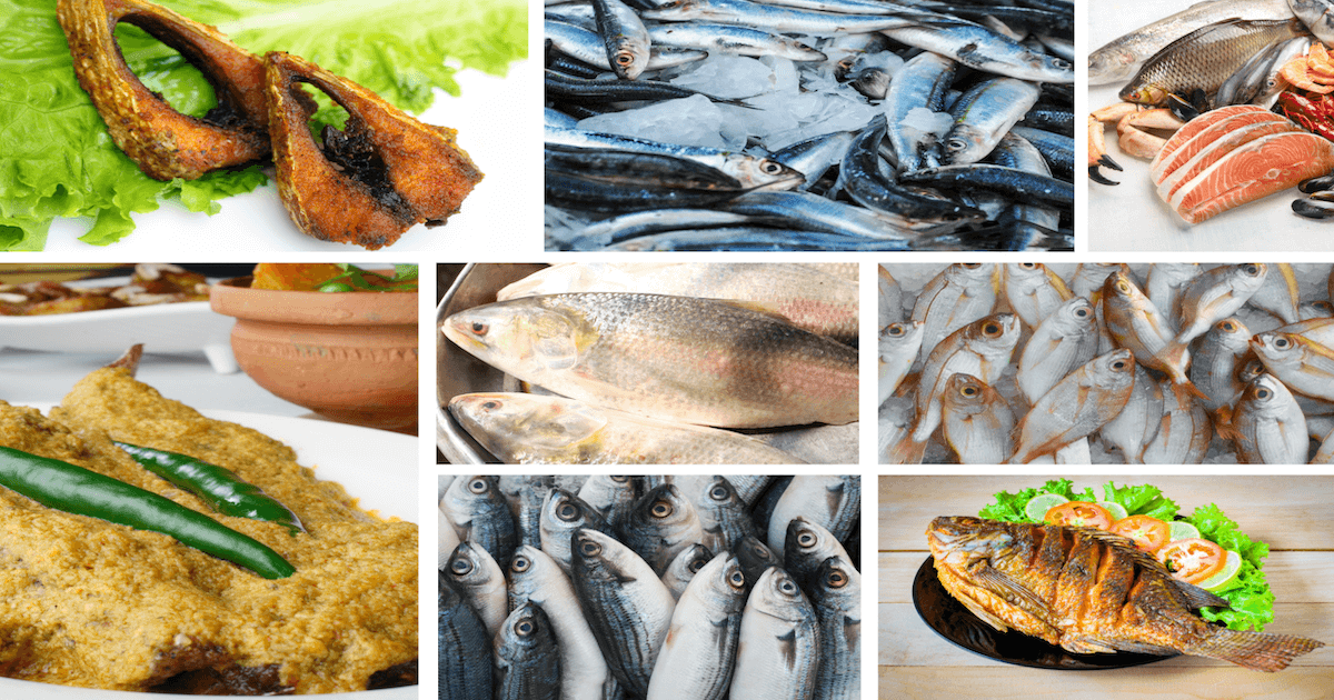 7 Best Bangladeshi Fish Market in London | MyBangla24
